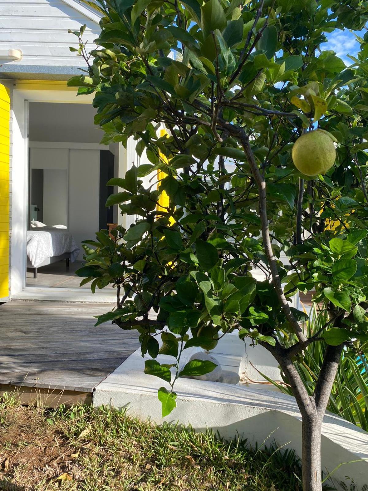 Villa Ylang Saint-Gilles-les Bains Exteriér fotografie